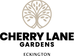 Cherry L Gs full logo COLOUR OUTLINE 72dpi