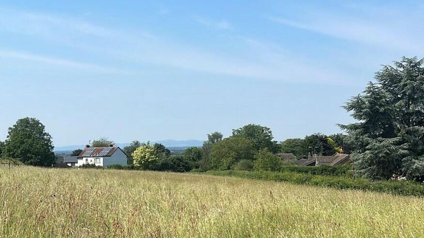 245807 26781684 IMG 08 0001